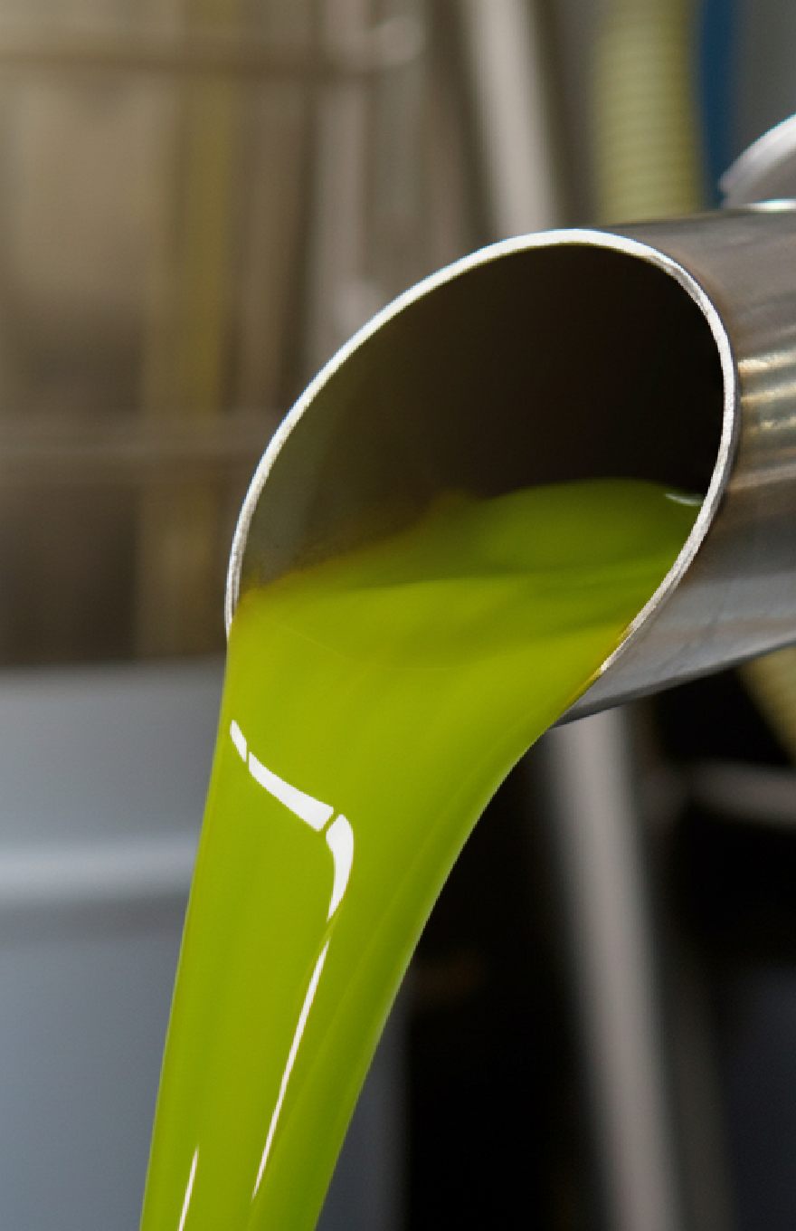 maszyna tłocząca oliwę prosto od greckiego plantatora