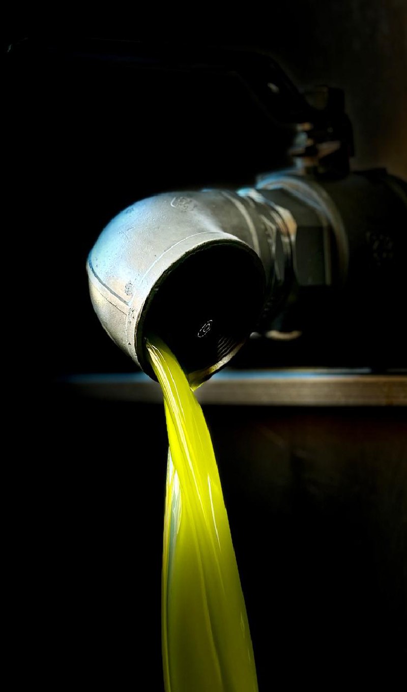 Świeżo wytłoczona Grecka Oliwa Extra Virgin spływająca do stalowych zbiorników w fabryce, zachowując świeżość i historię zbioru