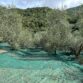 oliwa extra virgin kalamata