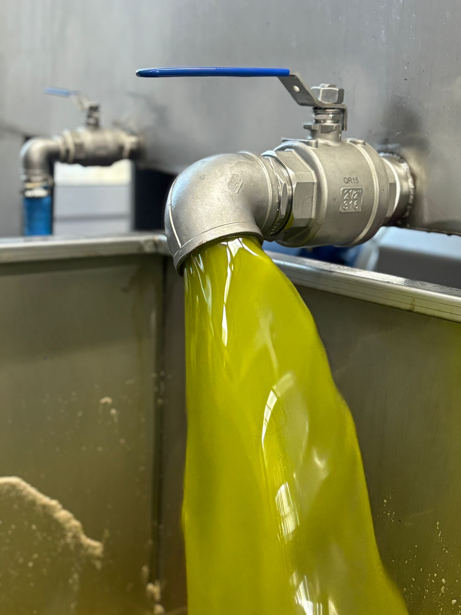 Kalamata vs. Kreteńska: Która Grecka Oliwa Lepiej Sprawdzi Się w Twojej Kuchni?