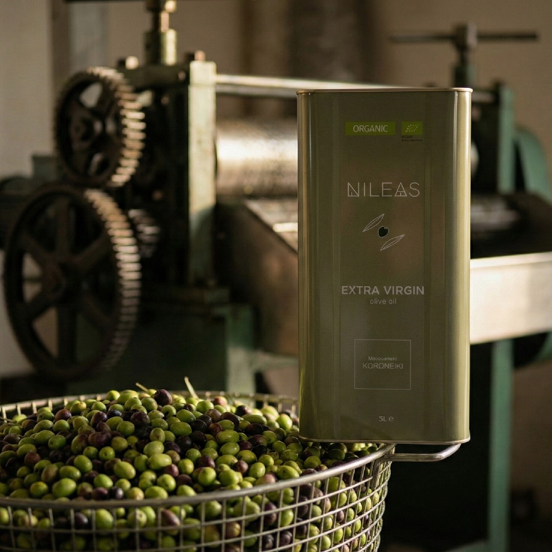 oliwa z oliwek puszka Nileas