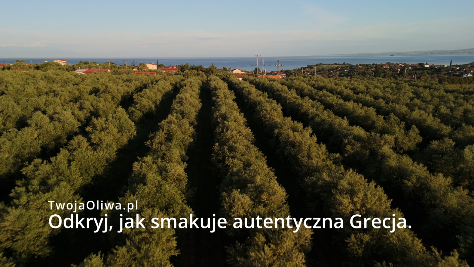 Strona główna 32